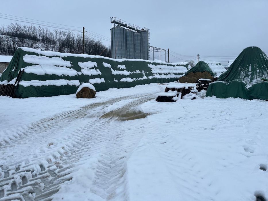 Vand baloti de paie ,lucerna 300 lei ,fân 200 lei ,infoliati lucerna