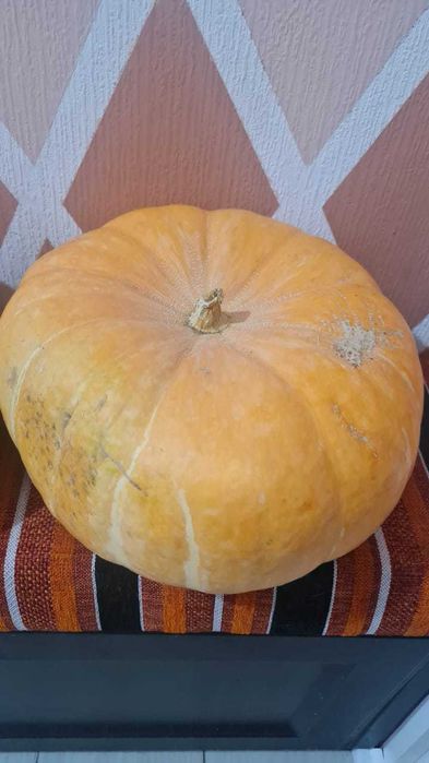Тыква (для еды )