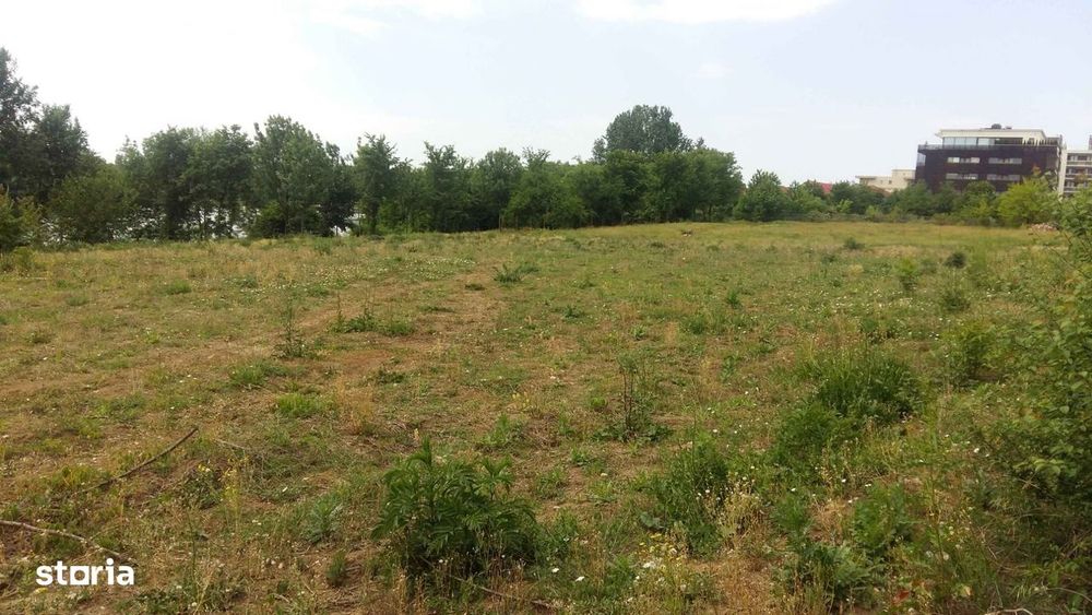 Teren 6000 mp pozitie deosebita lacul Baneasa adancime 140 m
