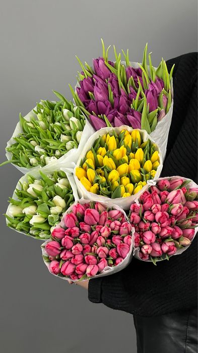Тюльпаны оптом и
