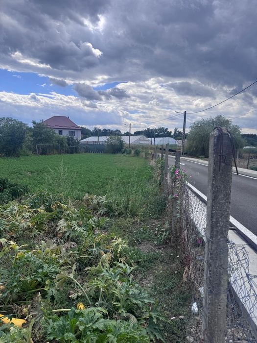 Casă de vanzare in Tg Frumos