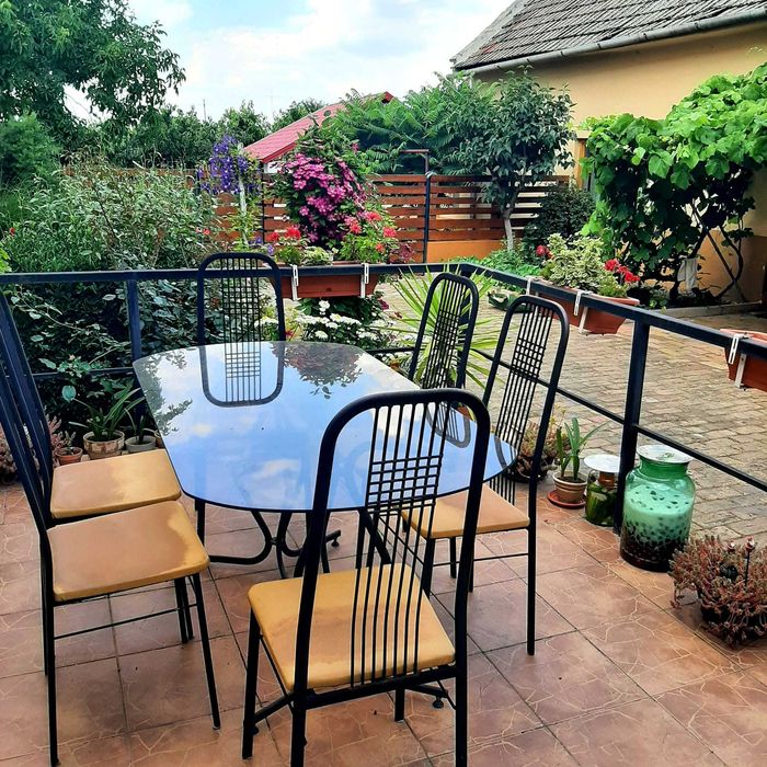 Casa de vânzare in Comuna Cenad, județul Timiș