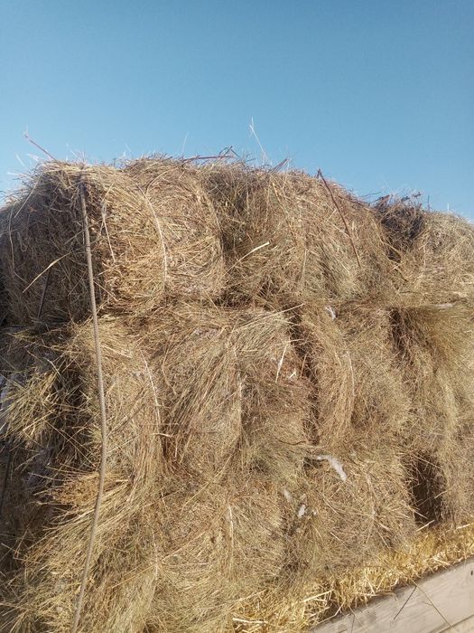 солому . сено.сухое