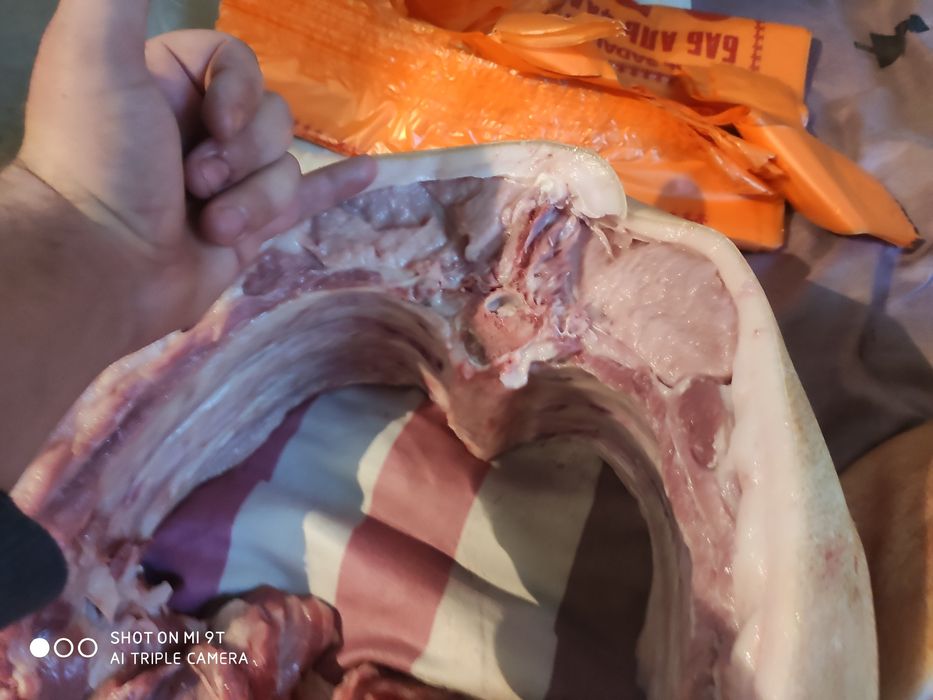 Свинина по 2000 тг кг