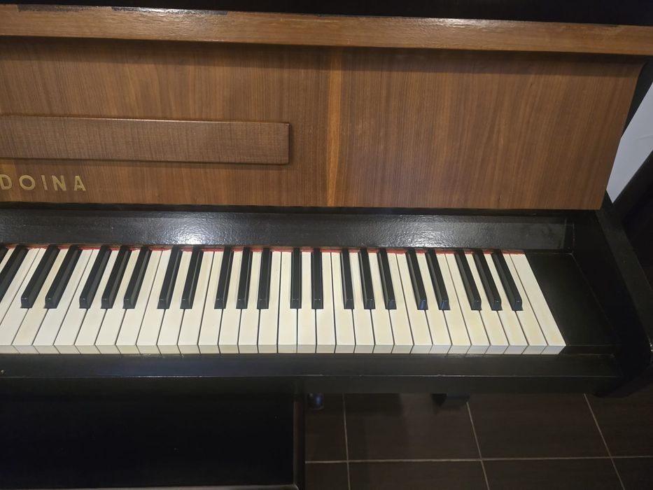 Pianină Doina placă bronz
