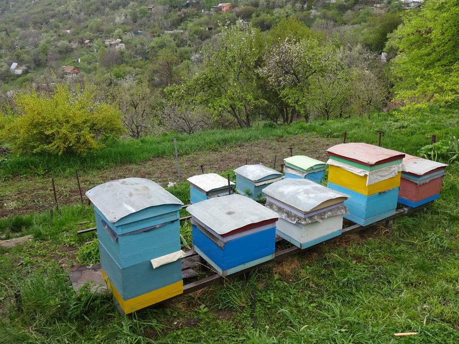 Дачу в горах продам.
