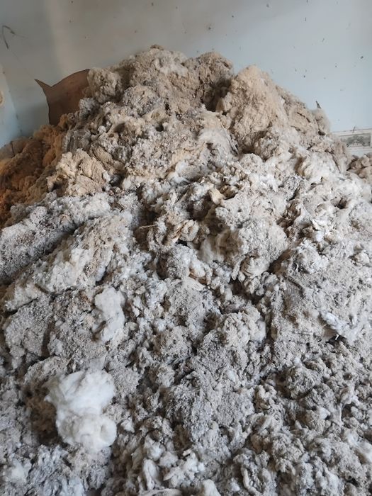 Paxta tozalash sehidan chiqgan