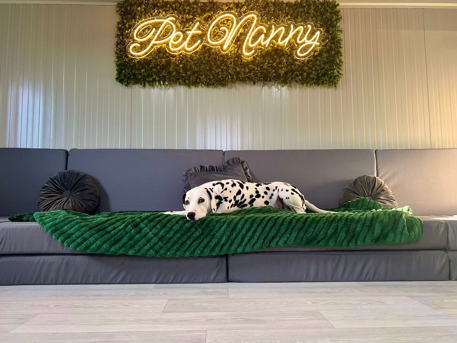 Saltele, huse,material impermeabil,burete,saltele chesterfield,perne