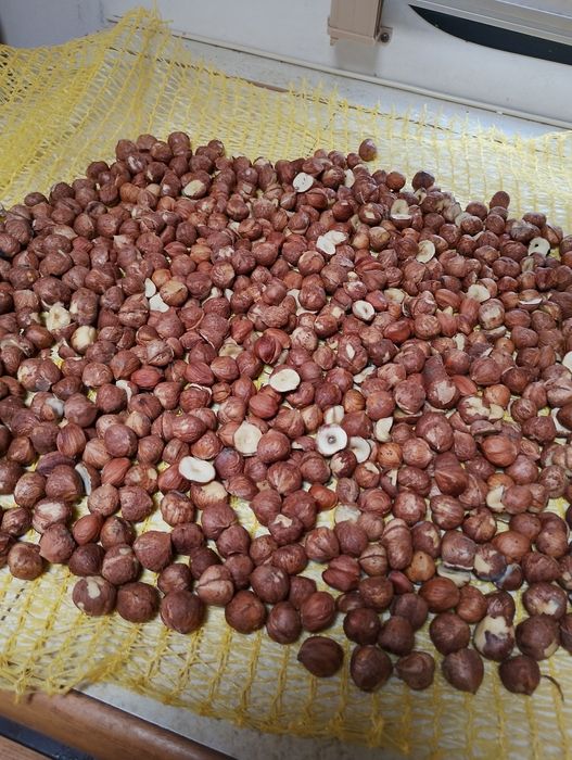 Продавам биолешници