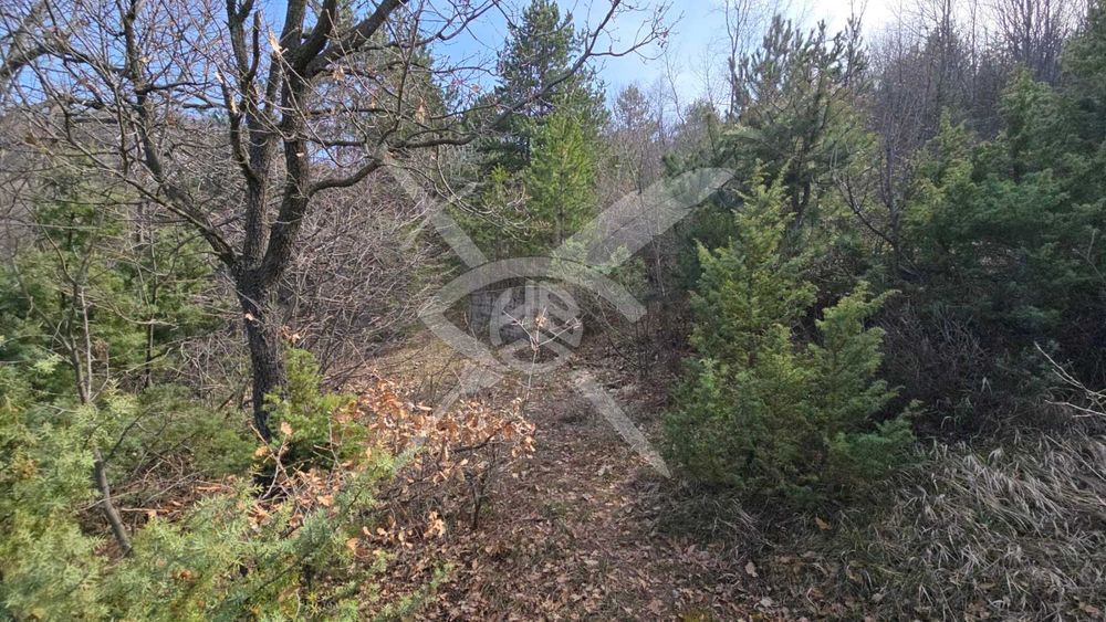 Парцел в село Яврово! 99437