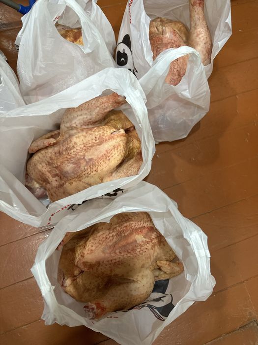 Продам тушки домашних куриц