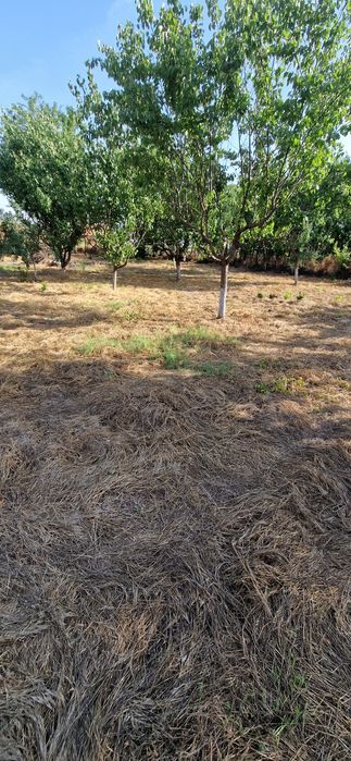 Vand/schimb teren intravilan in gradistea