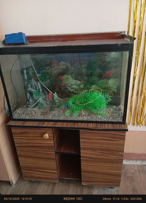 Akvarum baliq lar uchun ham narsasi bor tayyor Viltir bor