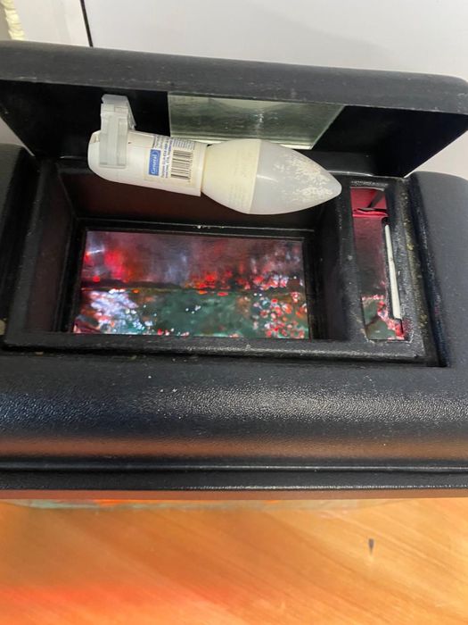 Золотые рыбки вместе с акуваримуом