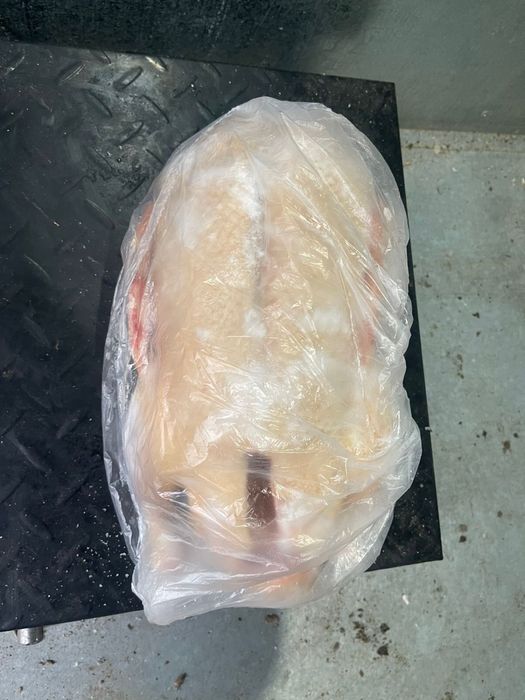 Мясо домашней утки