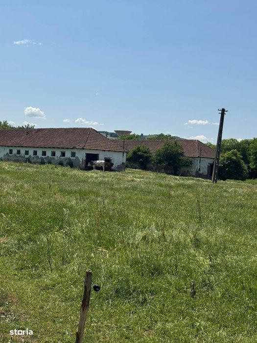 Teren intravilan de vânzare, Cehei, Șimleu Silvaniei - 13921 mp