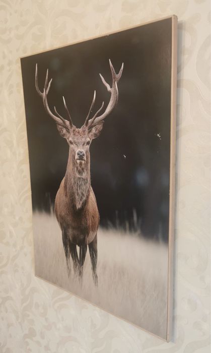 Антикварна фотография благороден елен рамкирана за закачане на стена