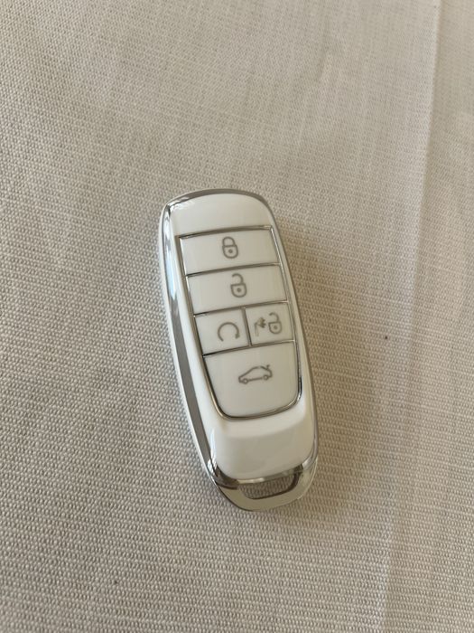 Gac aion va byd пульт чехол