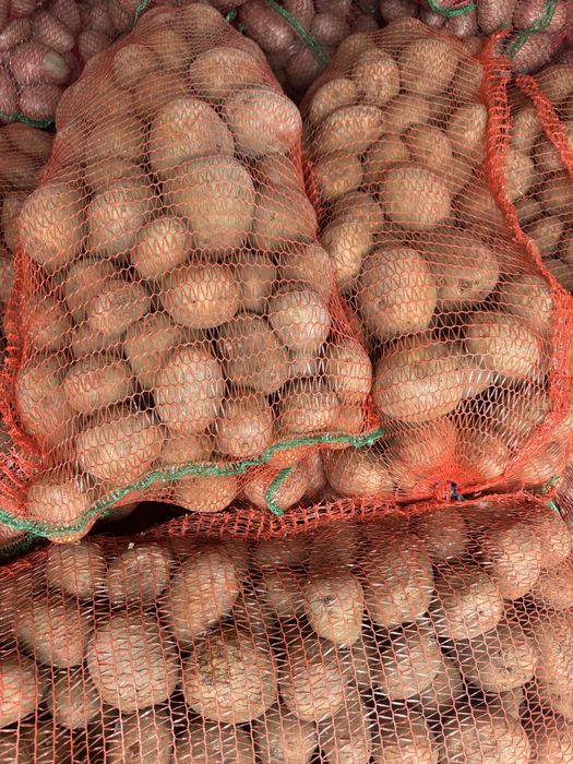 Cartofi consum arizona +55