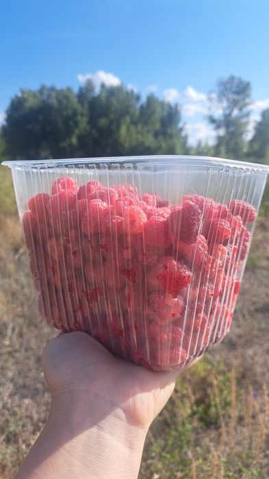 Свежая варение из малины