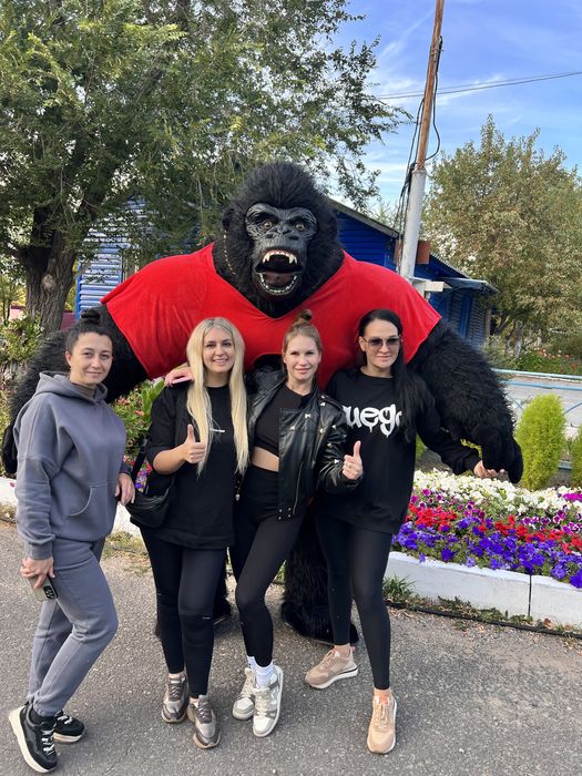 Аниматоры / мишки на праздник