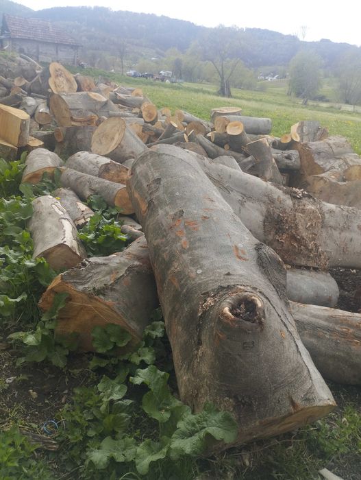 Lemne de foc Maramures