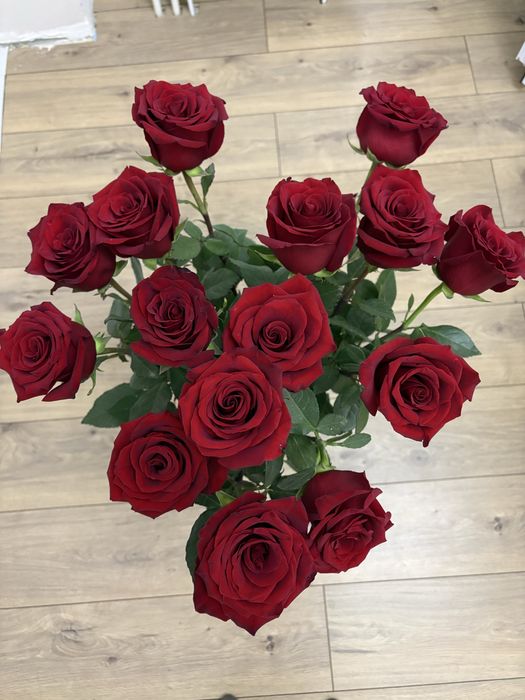 Продам свежие  красные розы