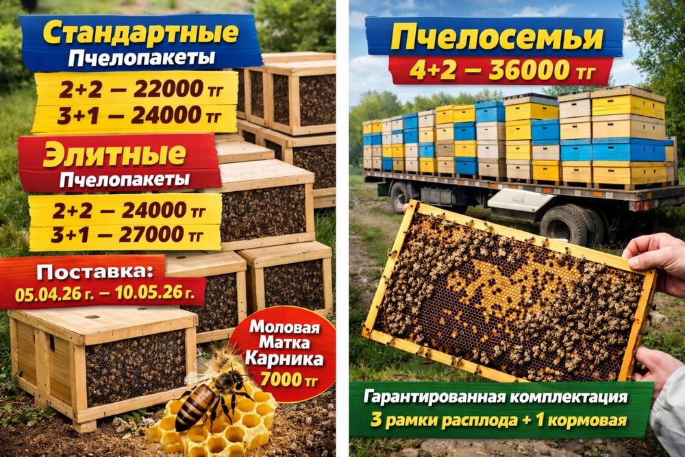 Пчелопакеты 2026 — старт продаж!