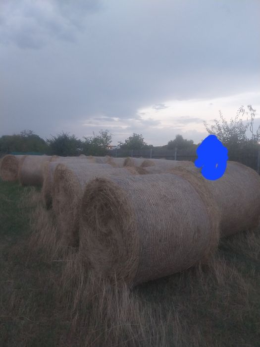 Baloti de fan rotunzi