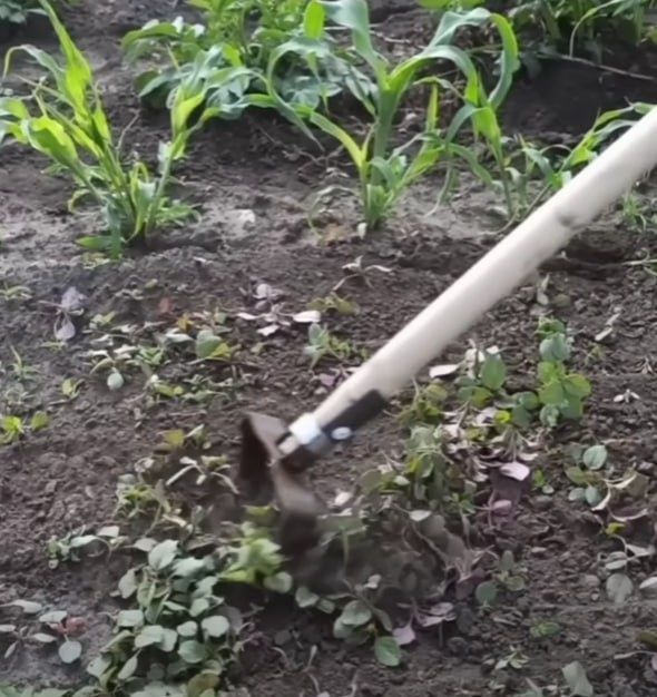 Бегона утлардан осон тозаловчи аспоб Полольник Стриж / Кетмон Лопата