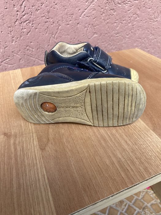 Papucei Biomecanics mar 22