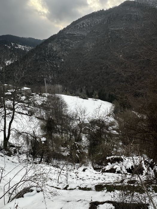Парцели за жилищно строителство