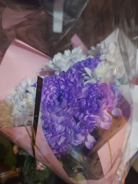 Цветы Хризантемы