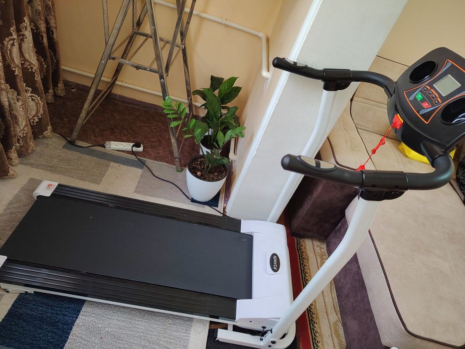 Begavoy darojka sport