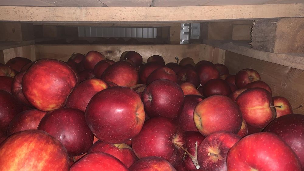 Mere polonia la cel.mai bun preț din România calitate fără concurenta