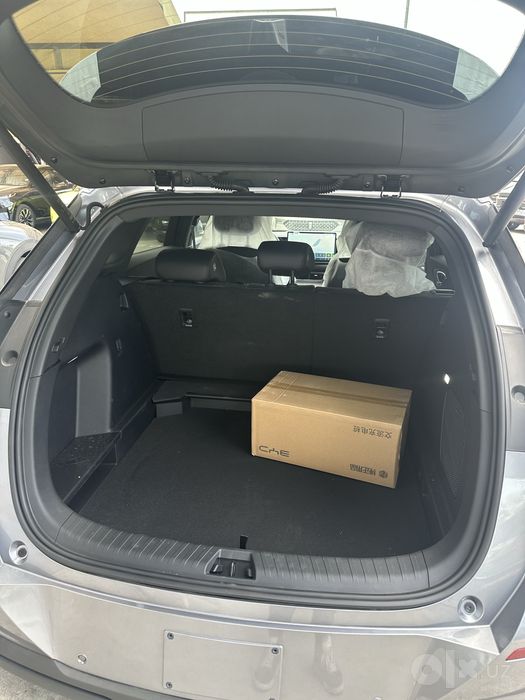 BYD Seo Lion 06 EV pilot plus