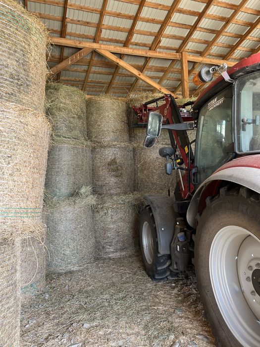 Baloti lucerna bine presati