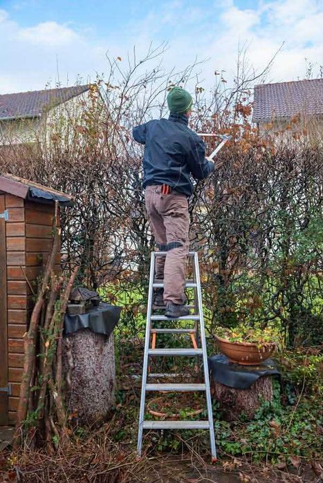 Oferim servicii despre tot c tone de gradinarit