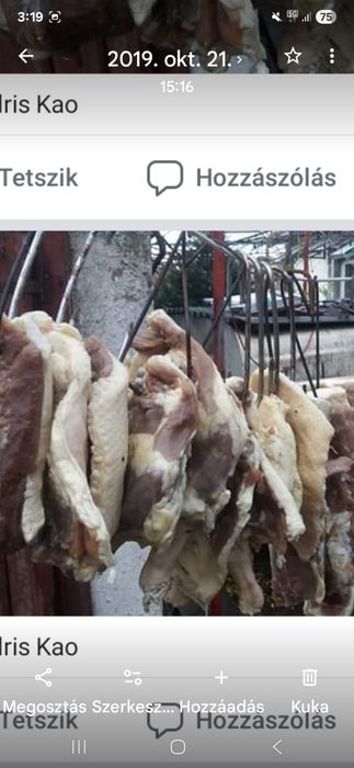 Vind gaste de carne 1 zi lipic