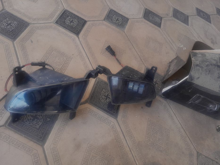 Туманник приора туманник