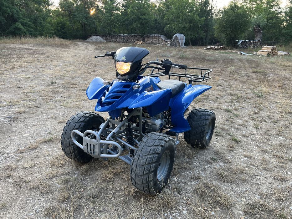 Vand atv Bashan 200S-7