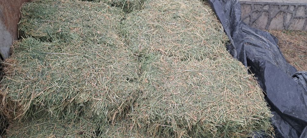 Беда прес сотилади