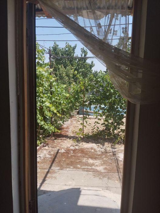 Продаю свою дача паркент навбахор 6 соток