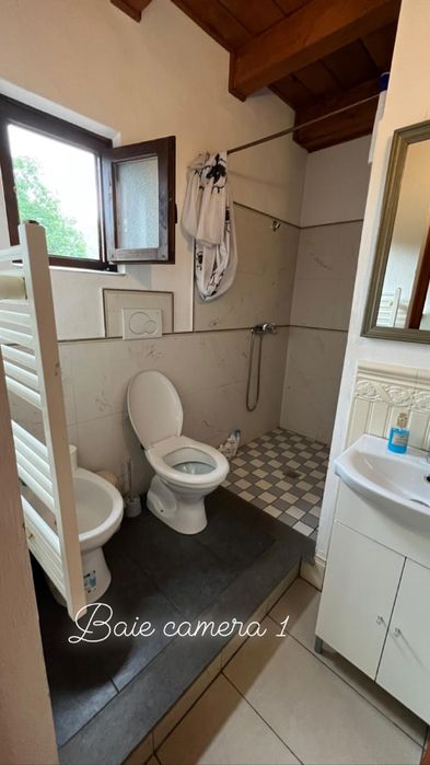 Casa de vanzare Firiza