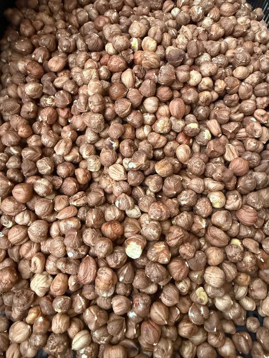 Продавам Български Лешник с отлични вкусови качества