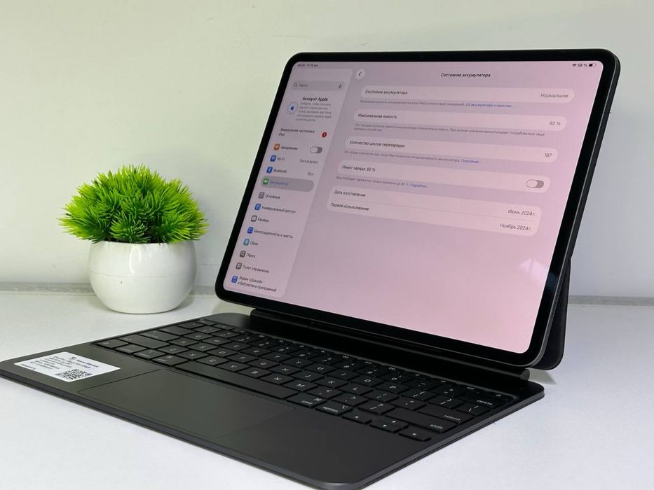iPad Pro 13inch M4/ 256gb Akb 92% цп 187