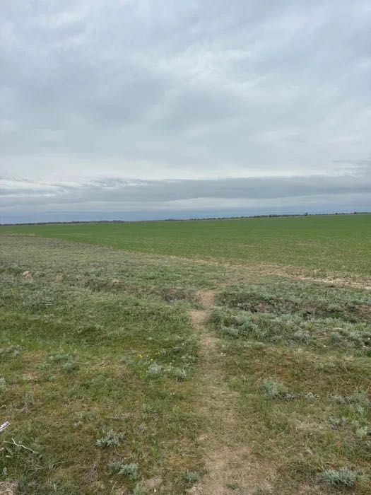 Участок Сельхоз направления