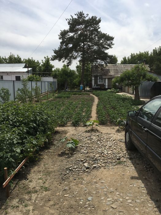 Дом нурпеисова 17/2