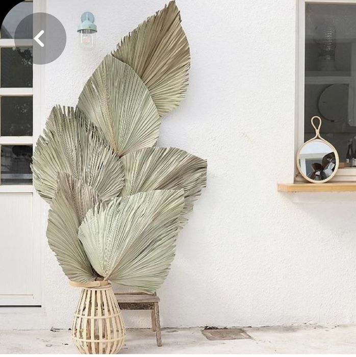 Продам пальмовые ветки для декора