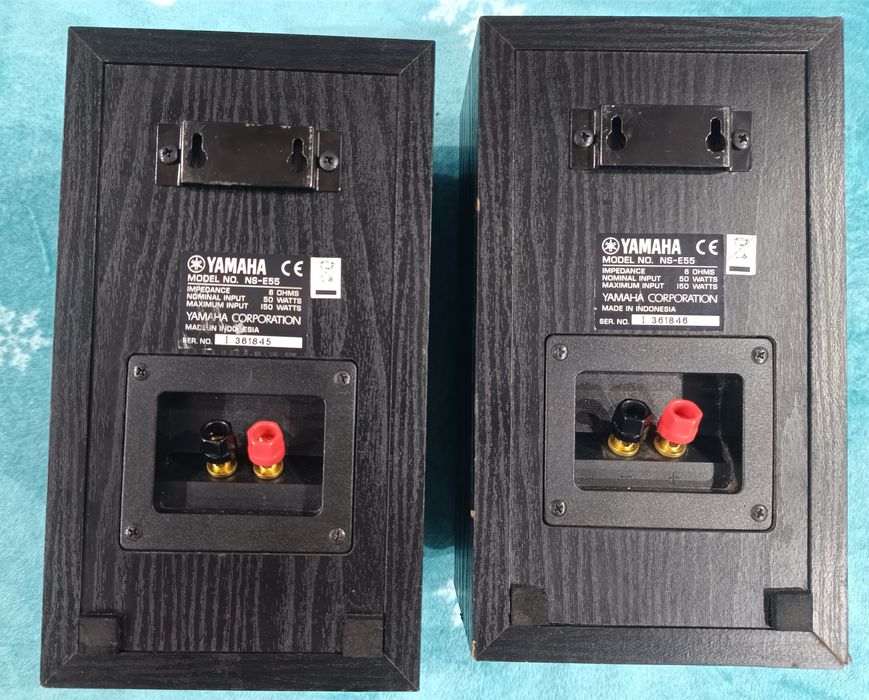 Boxe Yamaha NS-E55